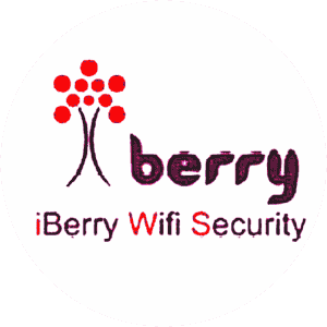 Iberry Wifi Logo
